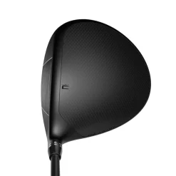 Ds-Adapt Max-D Lady Svart