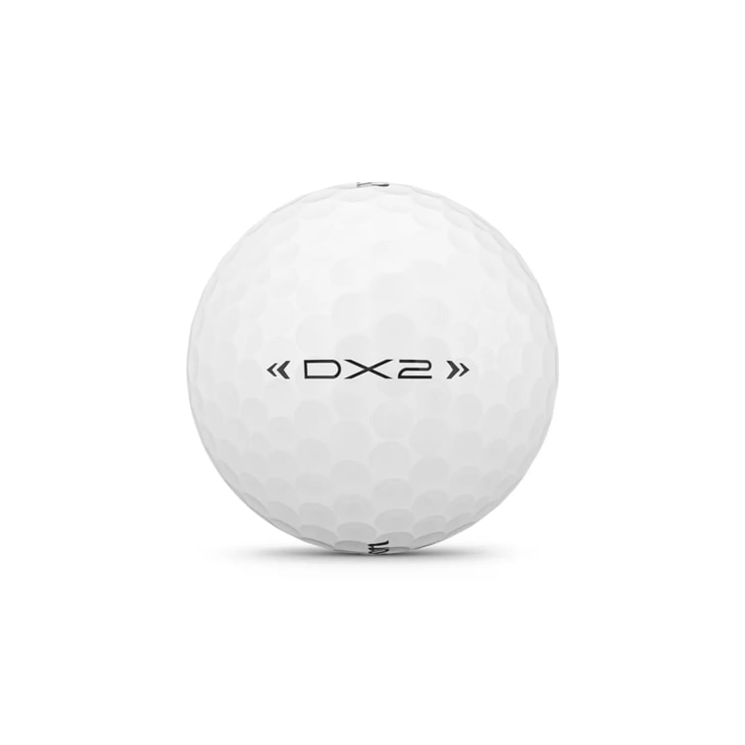 DX2 24-Ball