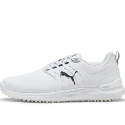 Ignite Elevate 2