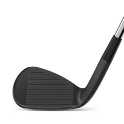 Infinite Wedge