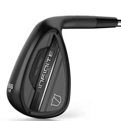 Infinite Wedge