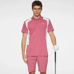 Legacy Polo
