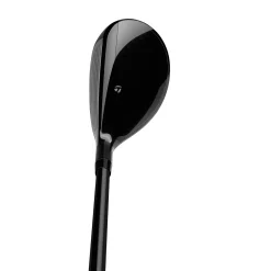 Qi10