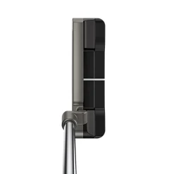 Scottsdale Anser